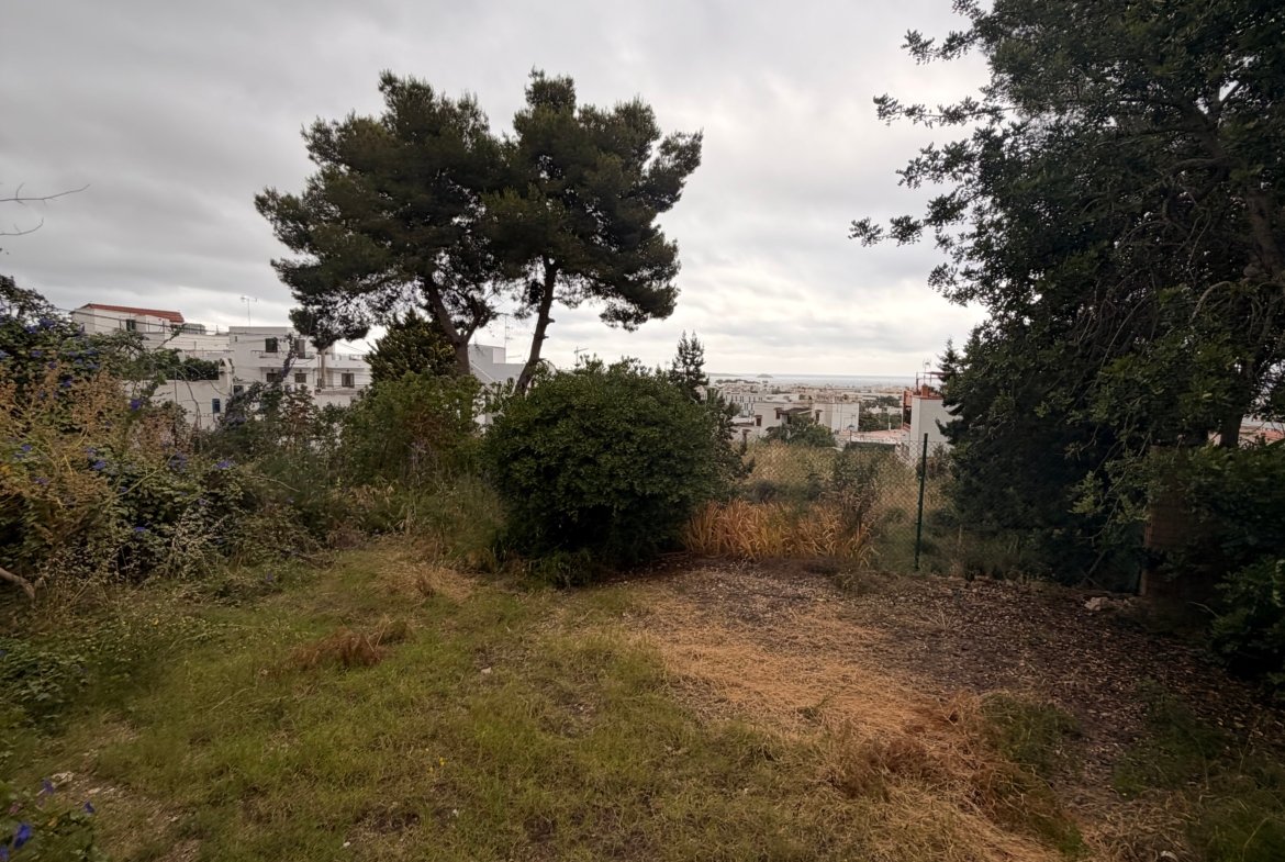 Countryside House in Santa Eulalia Available for Longterm Rental