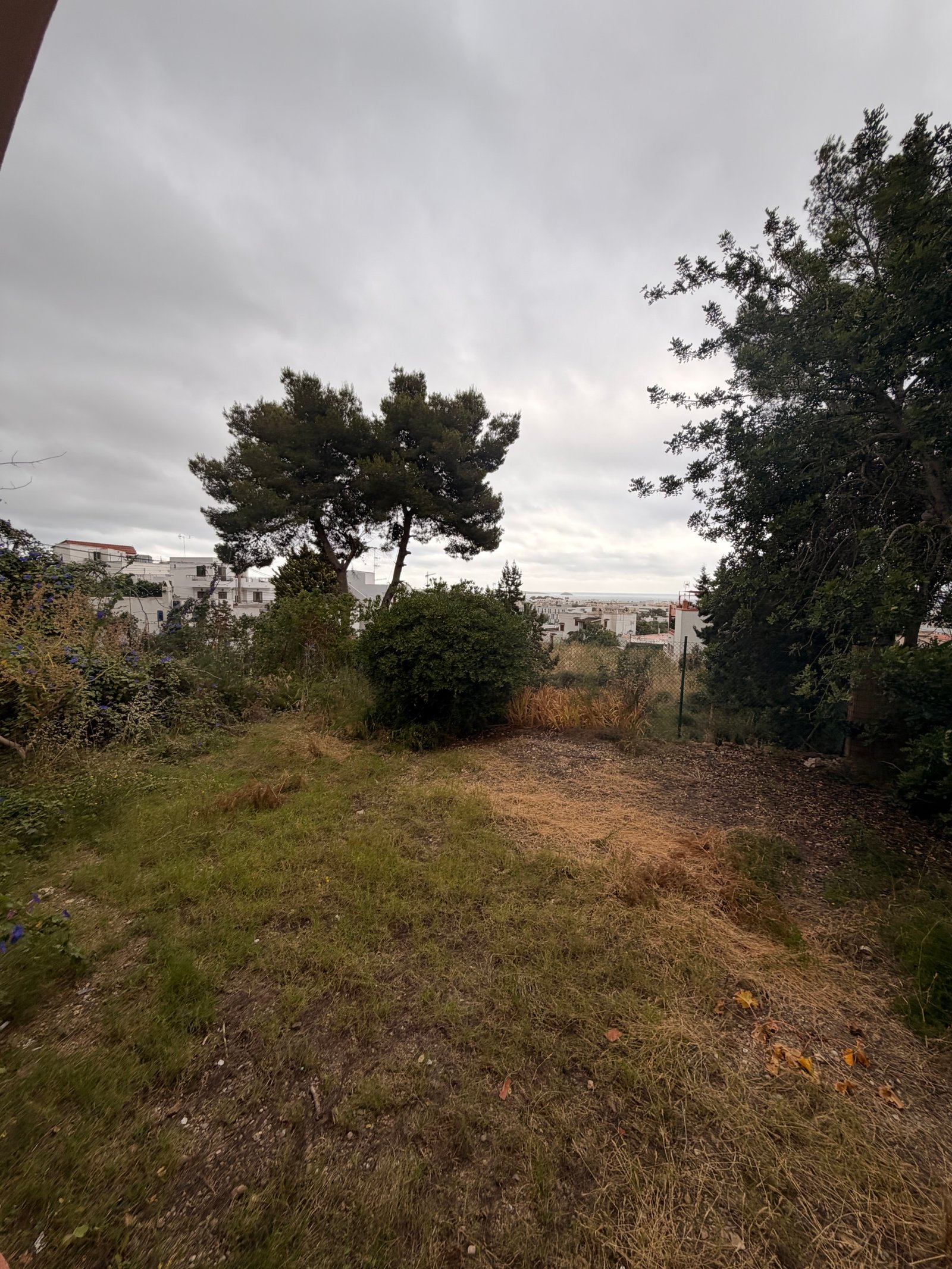 IMG_1819 Countryside House in Santa Eulalia Available for Longterm Rental