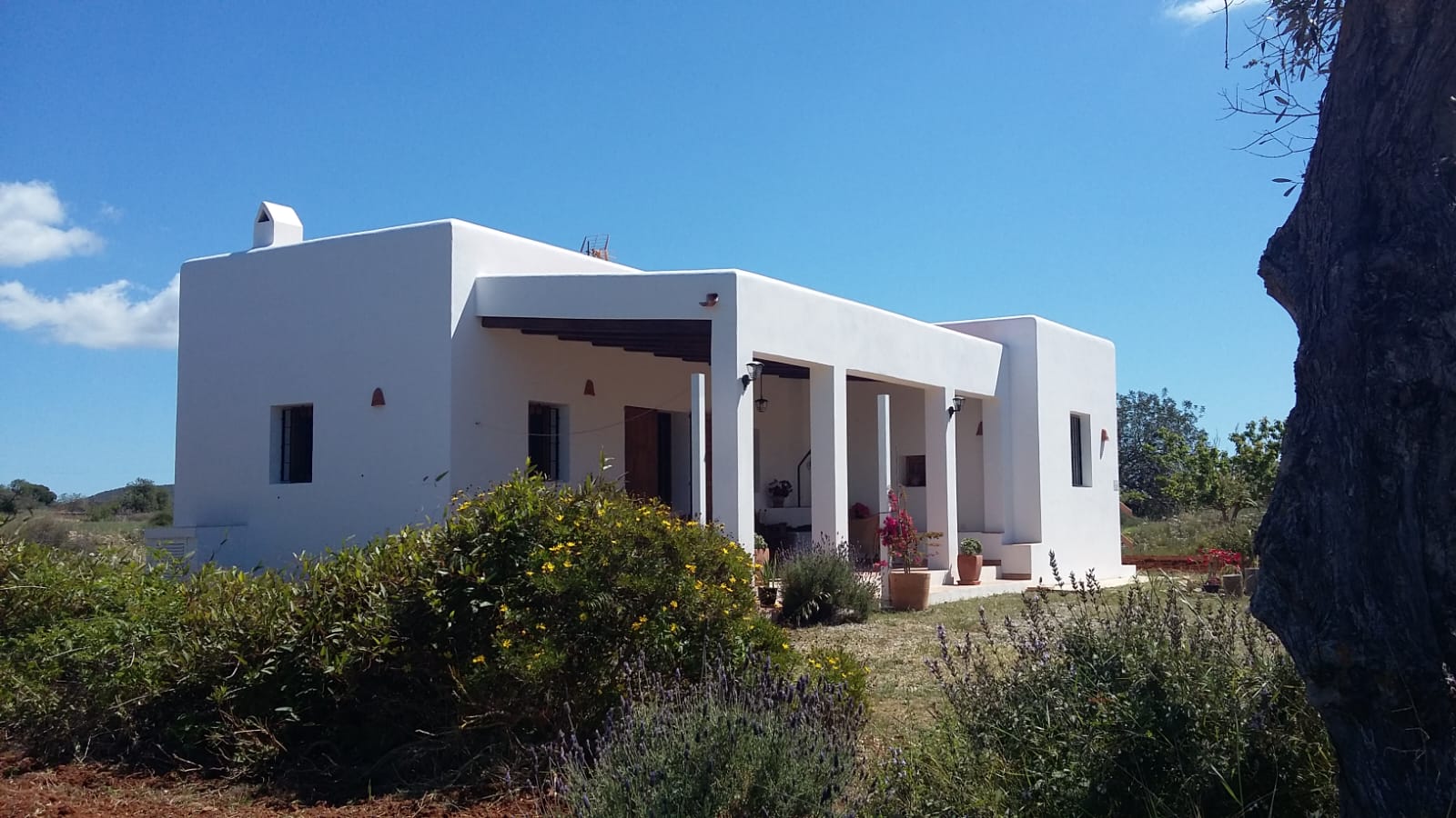 Countryside Casita Available for Summer Rent in Santa Gertrudis