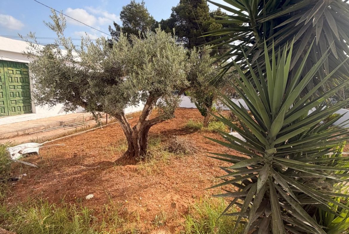 Casita Near the Airport Available for Longterm Rent