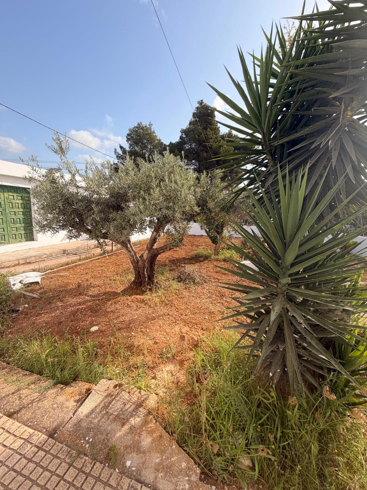 Casita Near the Airport Available for Longterm Rent
