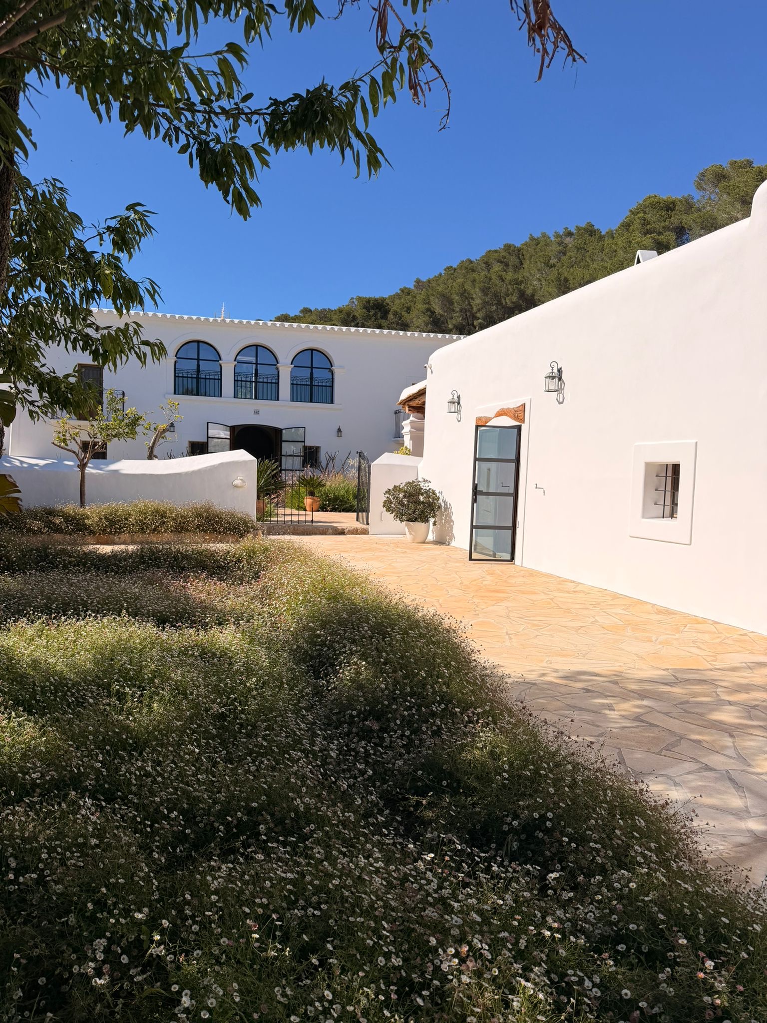 Luxury Countryside Estate for Annual Rent in San Lorenzo