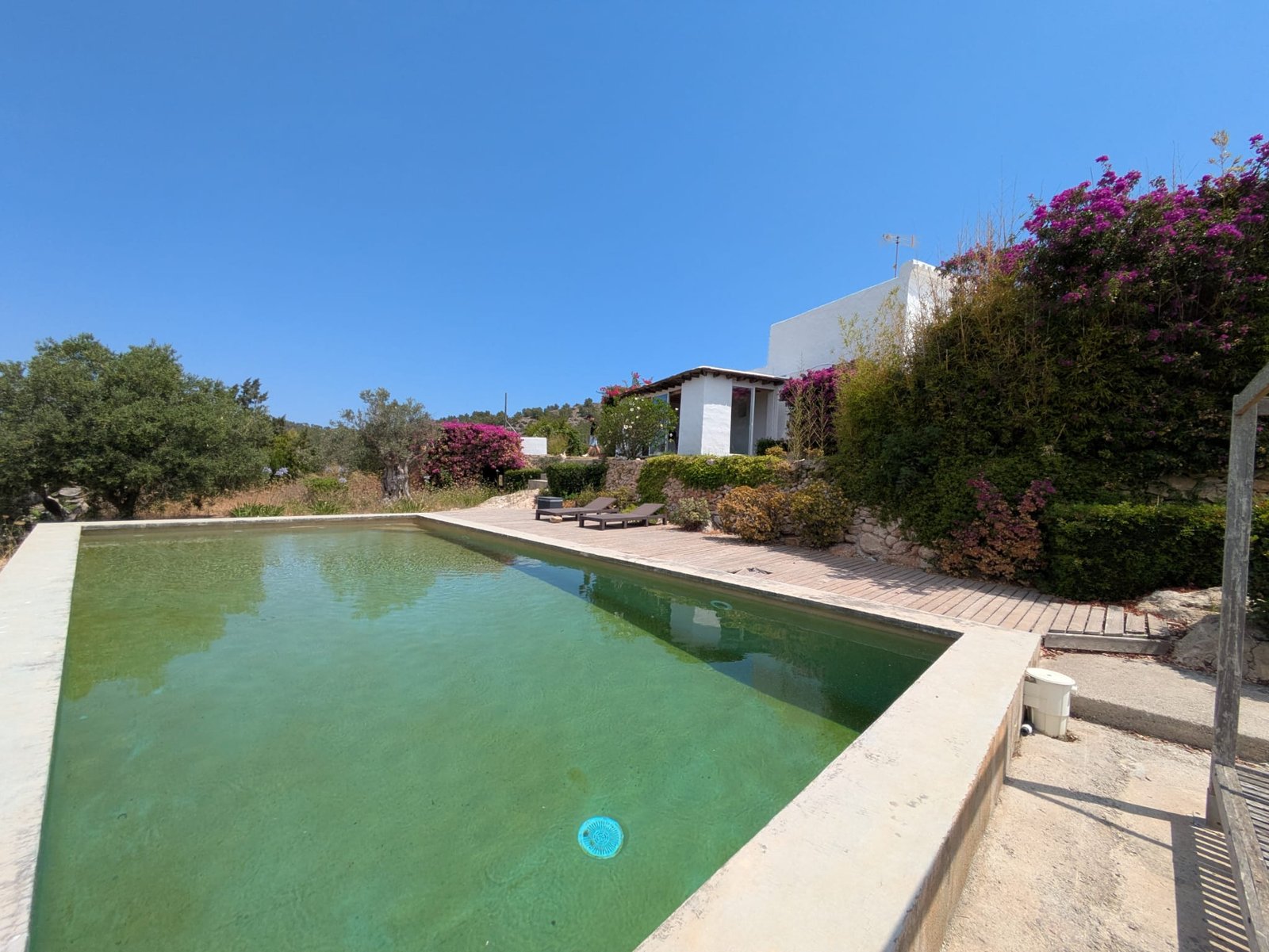 PHOTO-2026-07-10-13-24-16 Typical Ibizan House in San Juan – Annual Rental