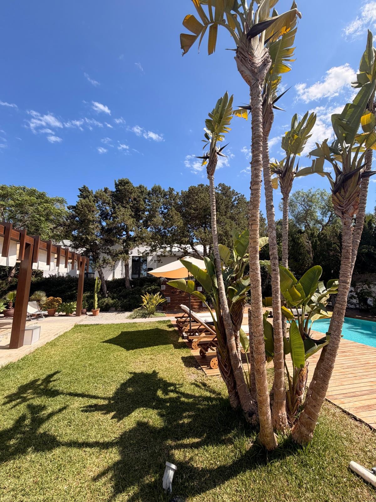Luxury 4-Bedroom Villa in Las Salinas – Long-Term Rental