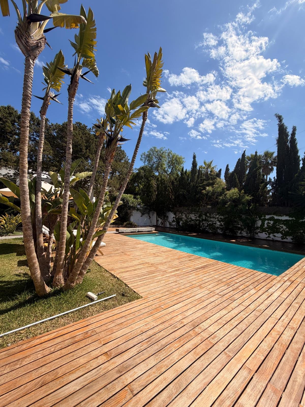 Luxury 4-Bedroom Villa in Las Salinas – Long-Term Rental
