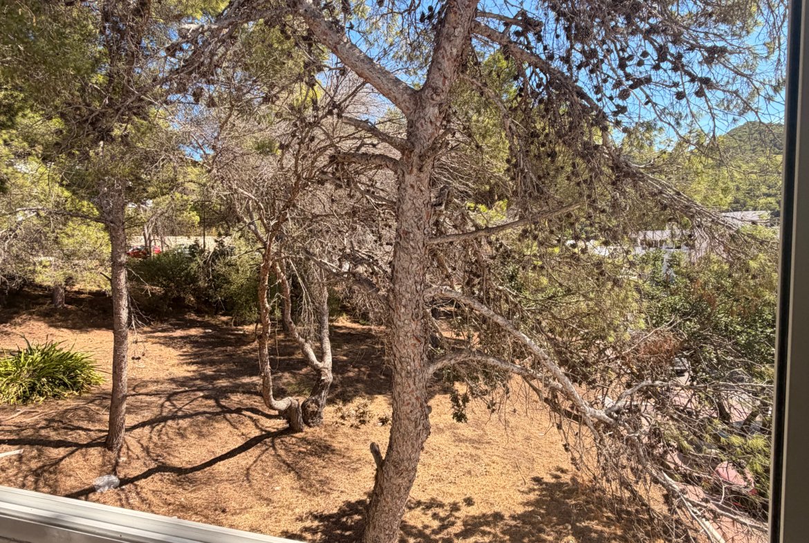 Sunny Apartment For Annual Rent in Cala Llonga
