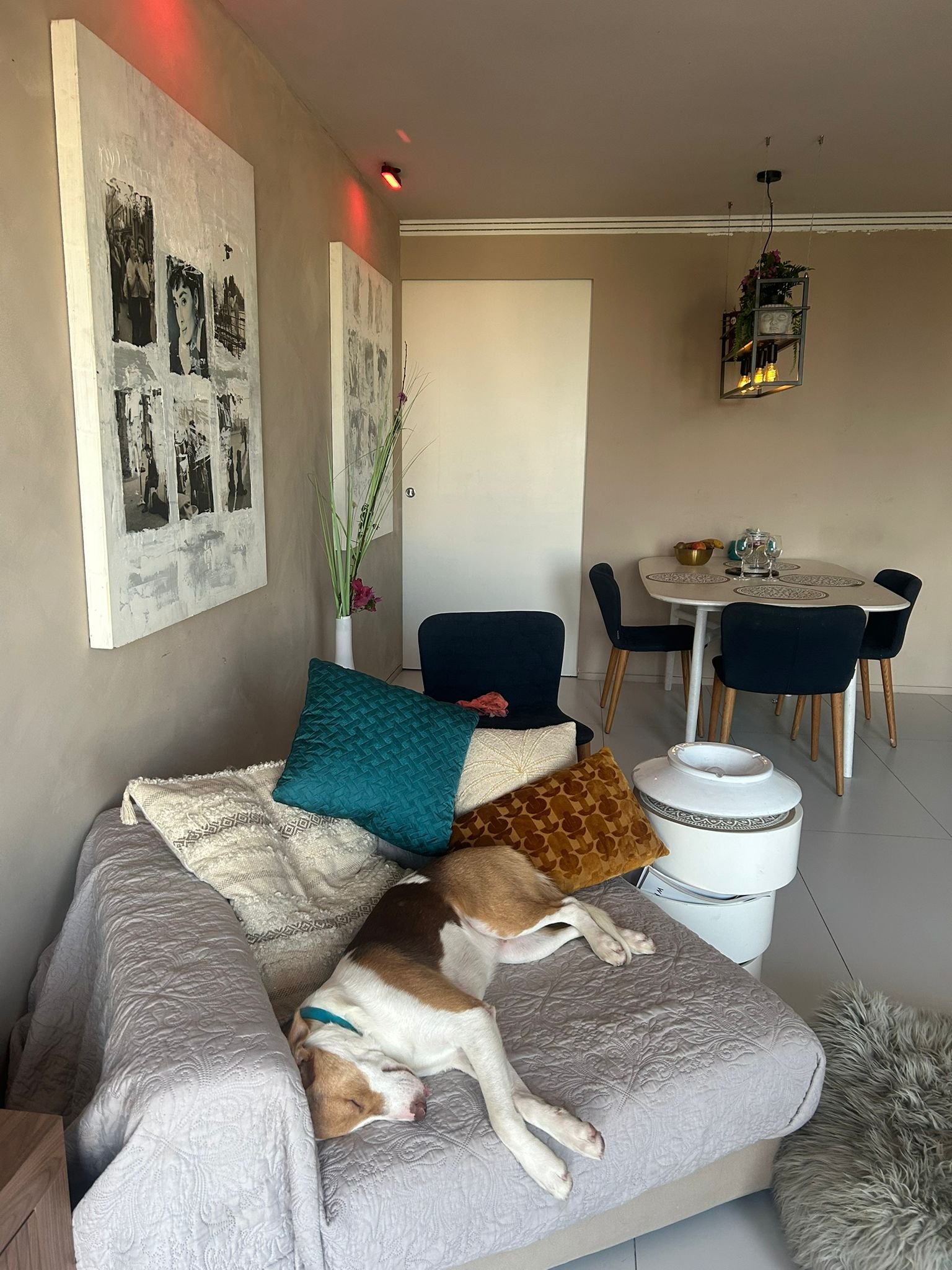 Stylish 2-Bedroom Apartment in Patio Blanco For Sale