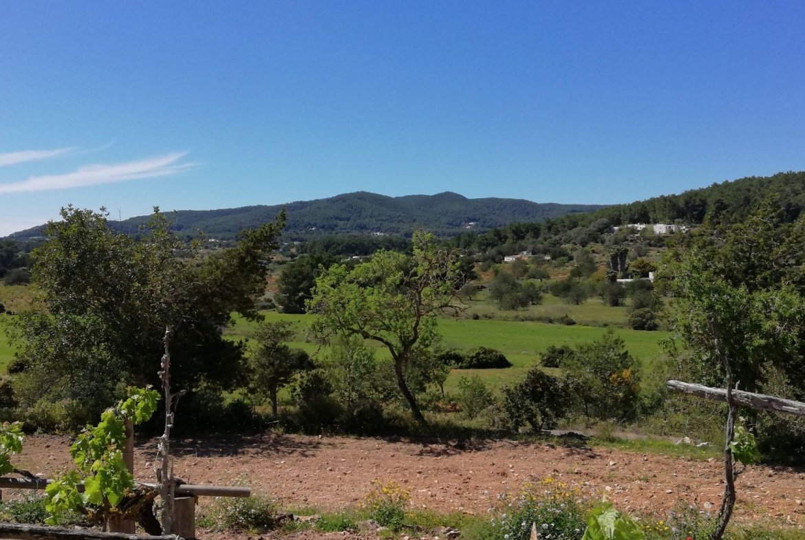 3-Bedroom Family Home Near Santa Gertrudis – 9 to 10 Month Rental