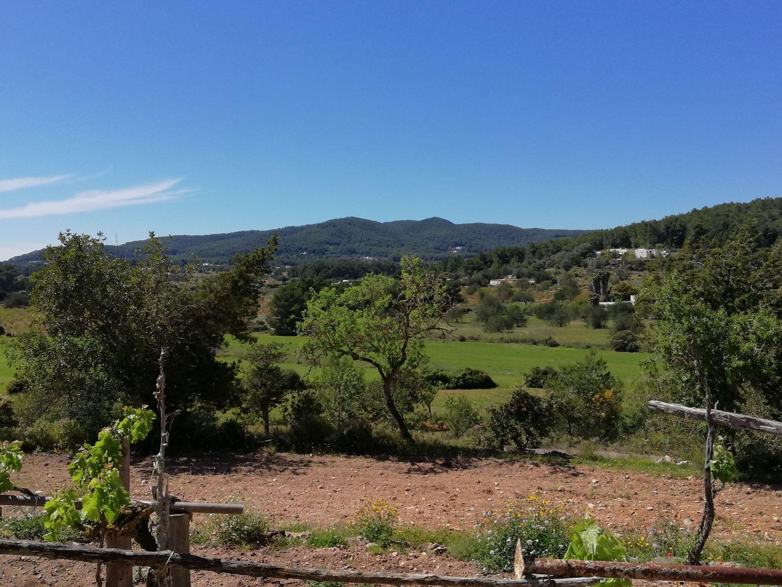 PHOTO-2026-10-05-11-43-09 6 3-Bedroom Family Home Near Santa Gertrudis – 9 to 10 Month Rental